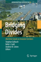 Bridging Divides - 