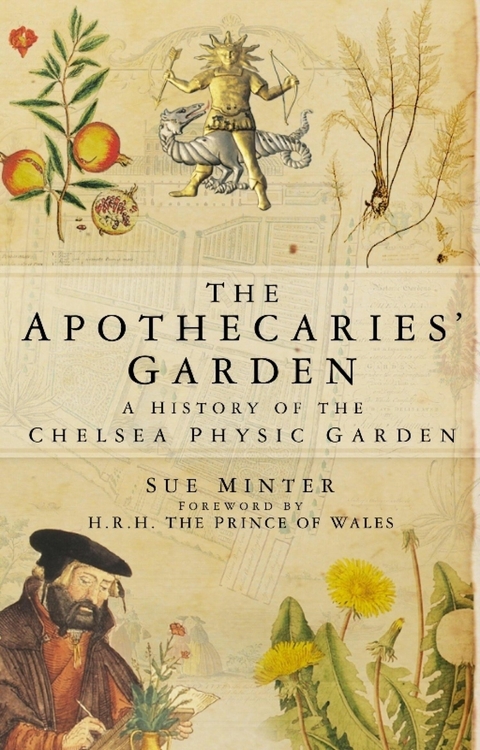 The Apothecaries' Garden -  Sue Minter