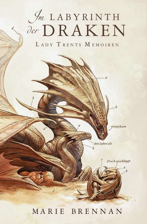 Lady Trents Memoiren 4: Im Labyrinth der Draken - Marie Brennan