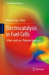 Electrocatalysis in Fuel Cells - 