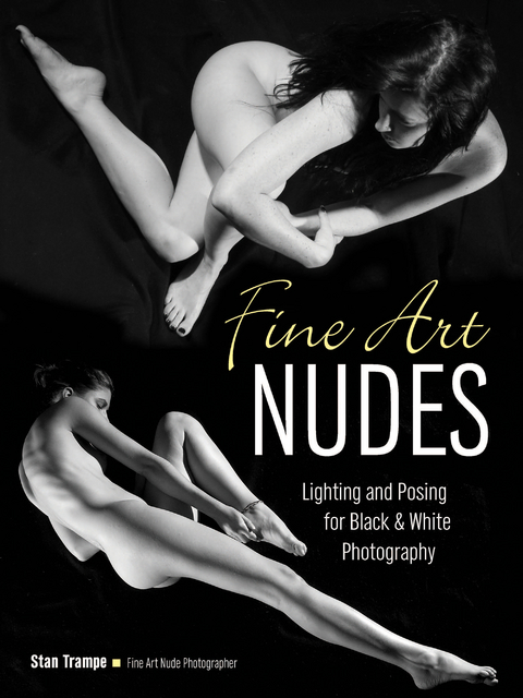 Fine Art Nudes - 