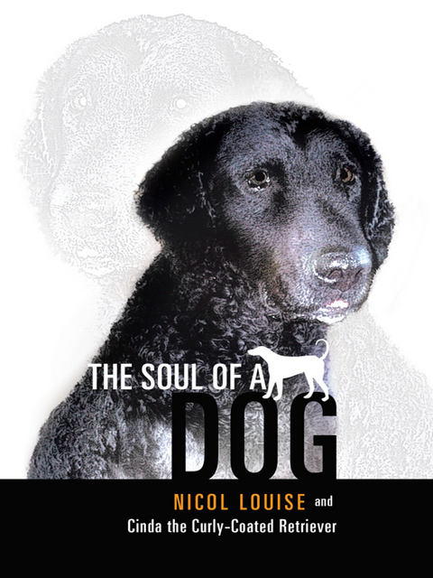 Soul of a Dog -  Nicol Louise,  Cinda the Curly-Coated Retriever
