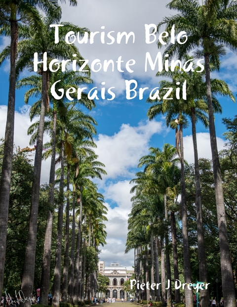 Tourism Belo Horizonte Minas Gerais Brazil -  Dreyer Pieter J Dreyer