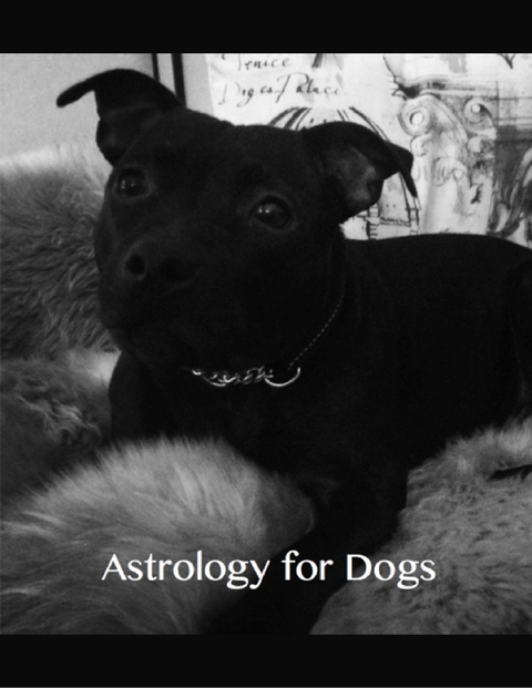 Astrology for Dogs -  Aeriel Aeriel