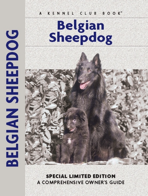 Belgian Sheepdog - Robert Pollet