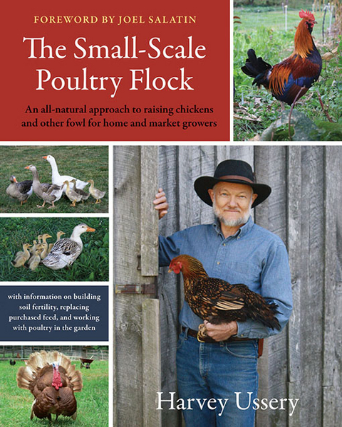 Small-Scale Poultry Flock -  Harvey Ussery