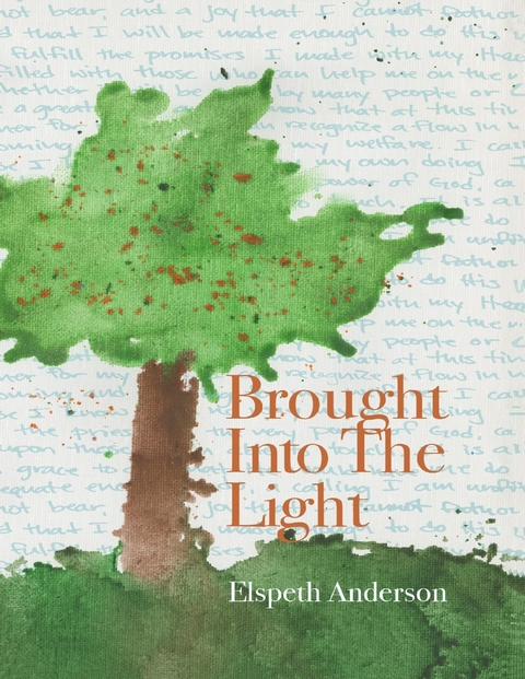 Brought Into the Light -  Anderson Elspeth Anderson