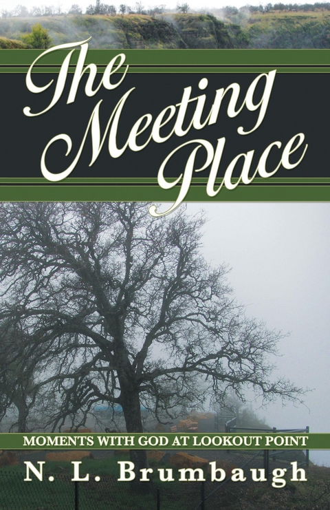 The Meeting Place - N.L. Brumbaugh