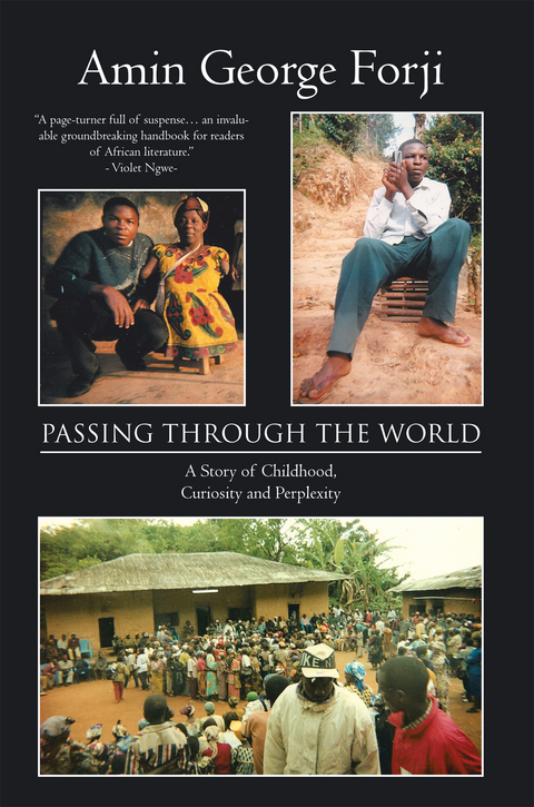 Passing Through the World - Amin George Forji