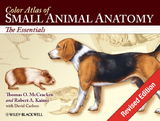 Color Atlas of Small Animal Anatomy -  Robert A. Kainer,  Thomas O. McCracken