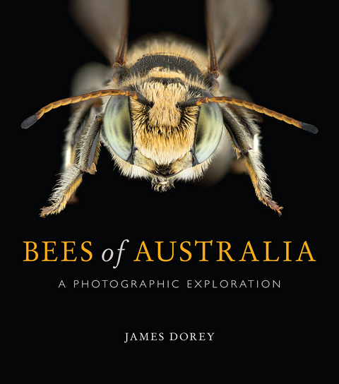 Bees of Australia - James Dorey