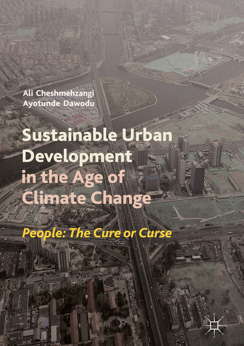 Sustainable Urban Development in the Age of Climate Change - Ali Cheshmehzangi, Ayotunde Dawodu