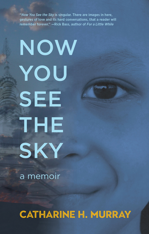 Now You See the Sky -  Catharine H. Murray