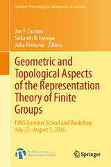 Geometric and Topological Aspects of the Representation Theory of Finite Groups - 