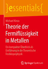 Theorie der Fermiflüssigkeit in Metallen - Michael Kinza