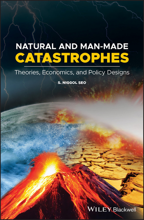 Natural and Man-Made Catastrophes -  S. Niggol Seo