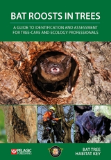 Bat Roosts in Trees -  Bat Tree Habitat Key