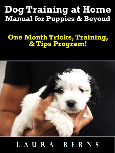 Dog Training at Home Manual for Puppies & Beyond : One Month Tricks, Training, & Tips Program! -  Laura Berns