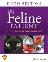 Feline Patient - 