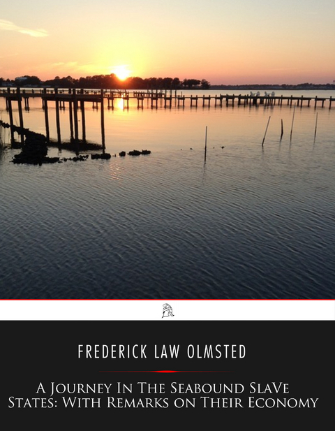 A Journey in the Seaboard Slave States - Frederick Law Olmsted