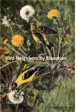 Bird Neighbors -  Neltje Blanchan