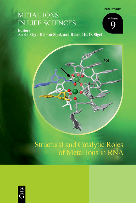 Structural and Catalytic Roles of  Metal Ions in RNA - 