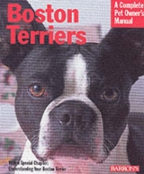 Boston Terriers - Bulanda, Susan