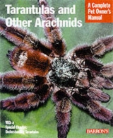 Tarantulas and Other Arachnids - Marshall, Samuel D.