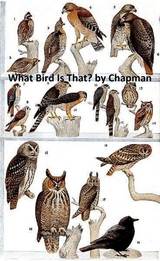 What Bird is That? -  Frank Chapman