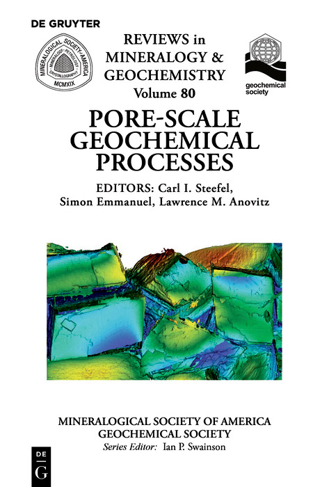 Pore Scale Geochemical Processes - 