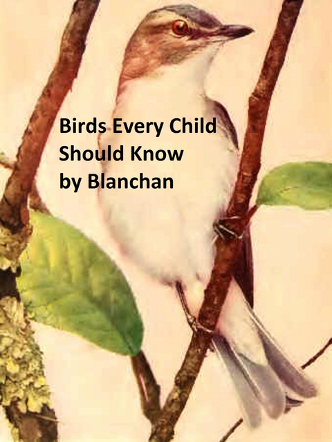 Birds Every Child Should Know -  Neltje Blanchan