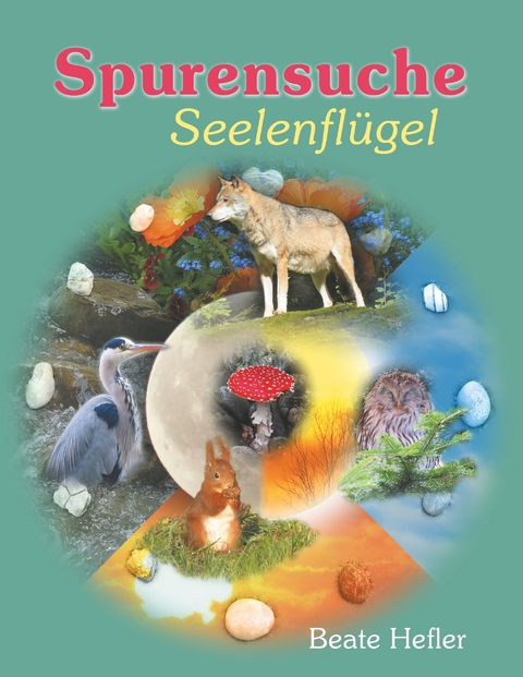 Spurensuche - Beate Hefler