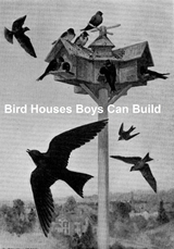 Bird Houses Boys Can Build -  Albert Siepert