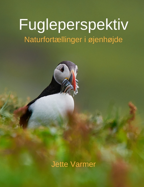 Fugleperspektiv -  Jette Varmer