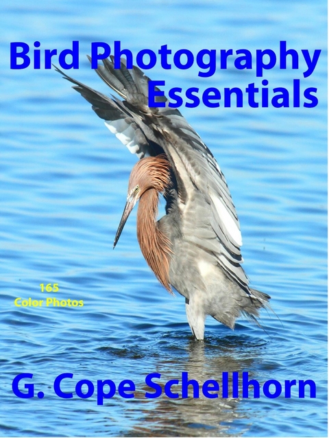 Bird Photography Essentials -  G. Cope Schellhorn