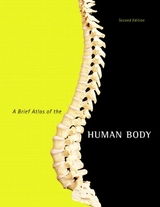 Brief Atlas of the Human Body, A - Hutchinson, Matt; Mallatt, Jon; Marieb, Elaine; Wilhelm, Patricia