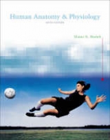 Human Anatomy & Physiology - Marieb, Elaine N.