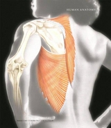 Human Anatomy with Clinical Issues in Anatomy plus Access to Human Anatomy Place and Anatomy360 CD-ROM - Martini, Frederic H.; Timmons, Michael J.; Tallitsch, Robert B.; Med & Sci Illustration, Bill & Claire