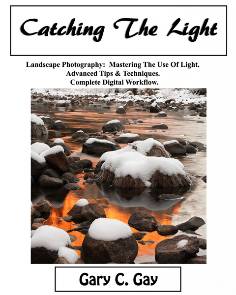 Catching the Light -  Gary C. Gay