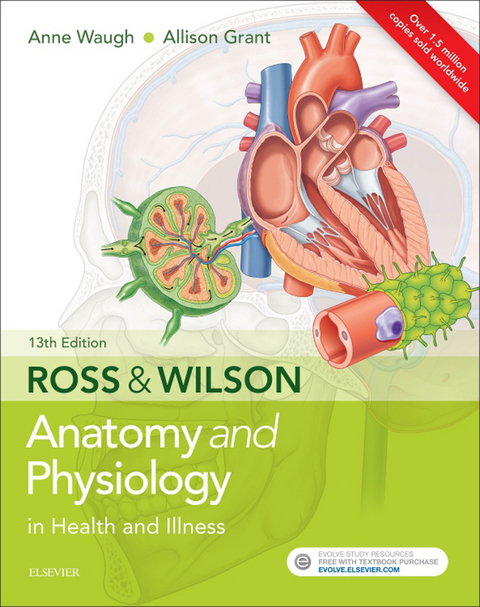 Ross & Wilson Anatomy and Physiology in Health and Illness E-Book -  Anne Waugh,  Allison Grant