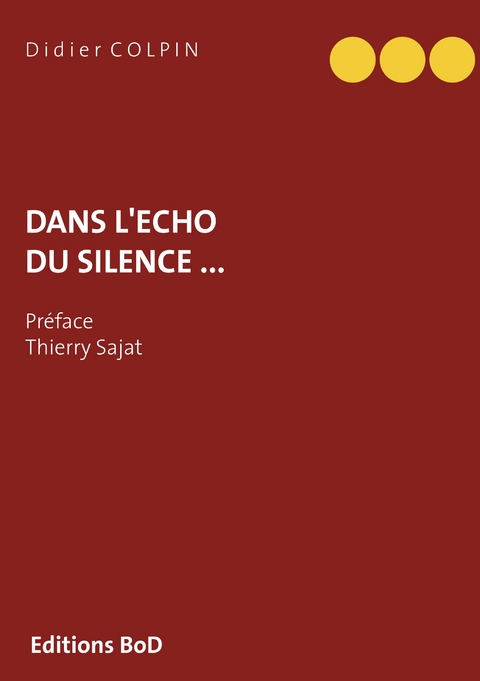 Dans  l'écho du silence ... - Didier Colpin