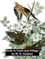 Birds in Town and Village -  W. H. Hudson