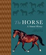 The Horse - Debbie Busby, Catrin Rutland