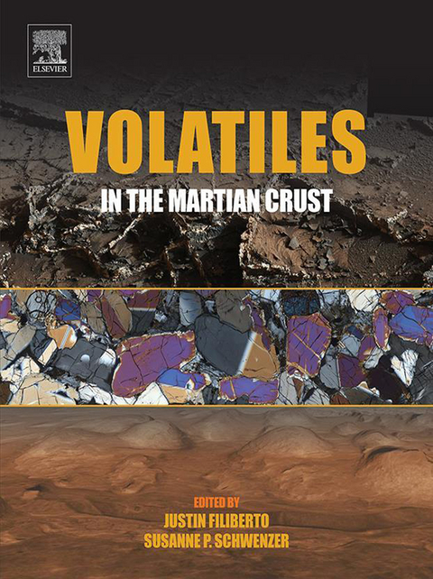 Volatiles in the Martian Crust - 