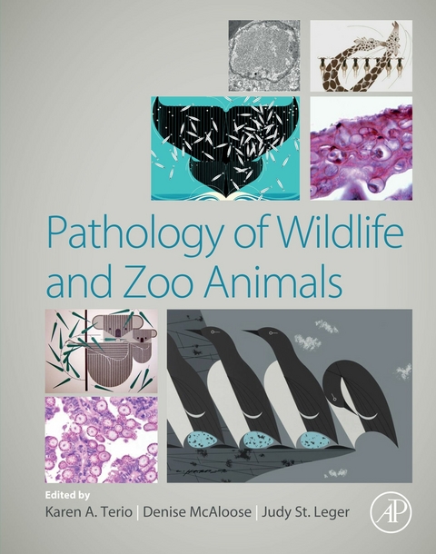 Pathology of Wildlife and Zoo Animals - 