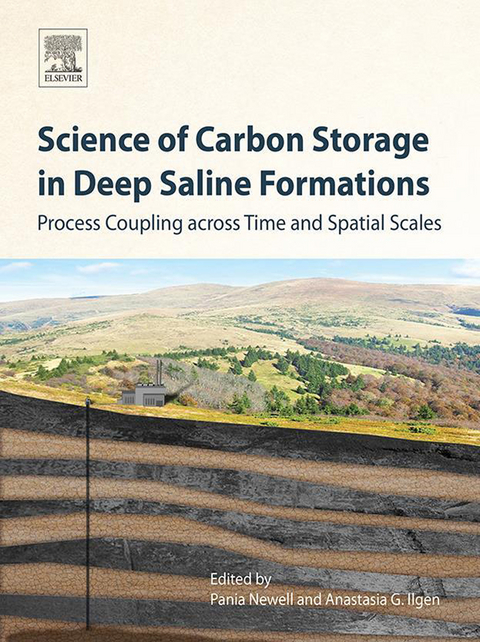 Science of Carbon Storage in Deep Saline Formations - 