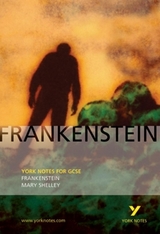 Frankenstein: York Notes for GCSE - Shelley, Mary; Fairburn, Alex