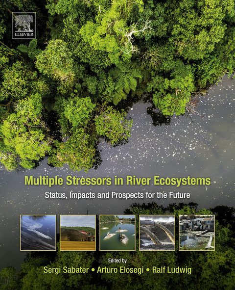 Multiple Stressors in River Ecosystems - 