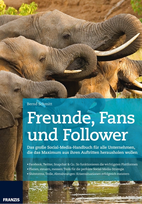 Freunde, Fans und Follower - Bernd Schmitt