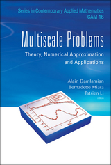 MULTISCALE PROBLEMS - 